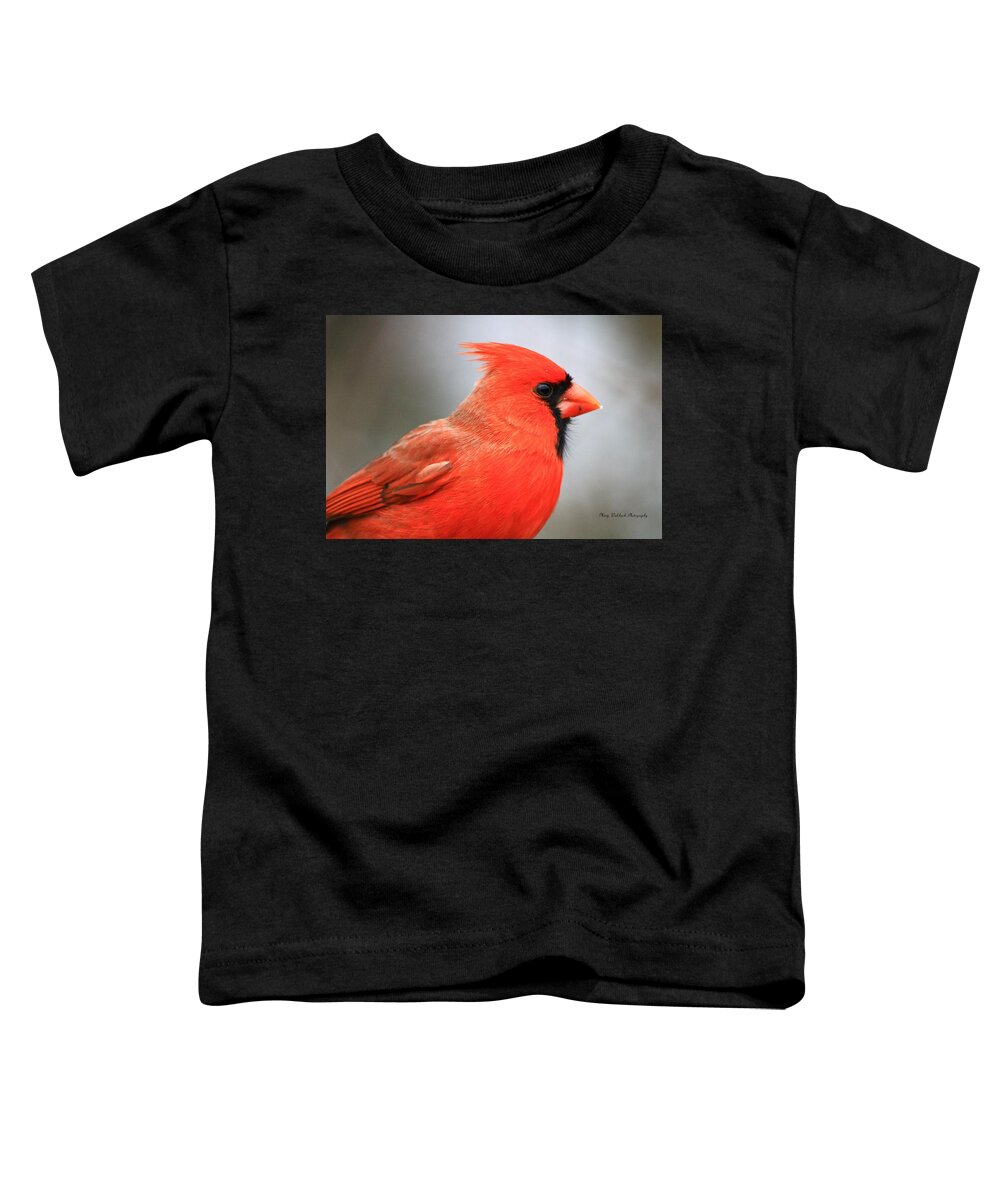 Birds Wildlife Nature Toddler T-Shirt featuring the photograph Portrait of a Cardinal by Mary Walchuck