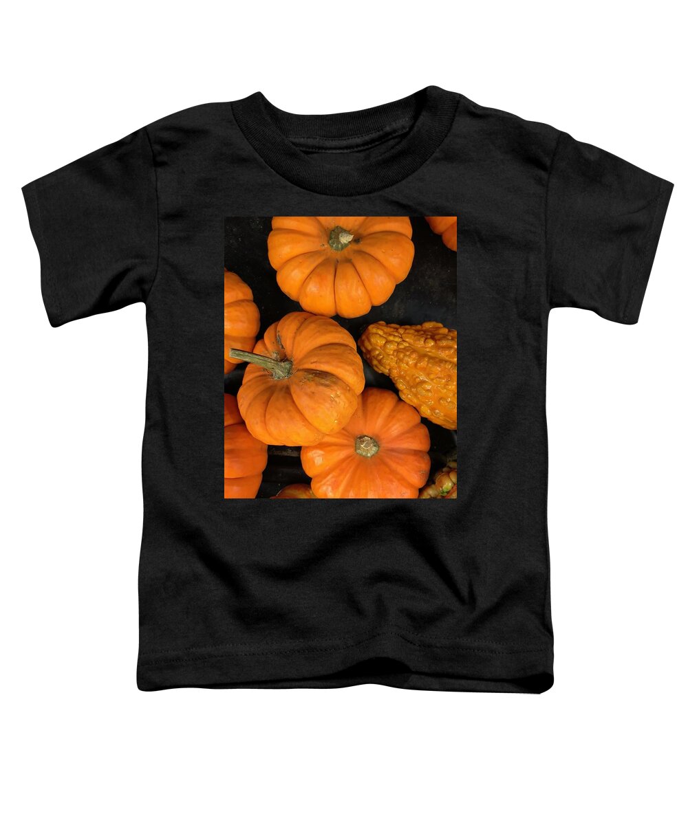 Pumpkin Toddler T-Shirt featuring the photograph Pumpkin Flat Lay by Lisa Pearlman