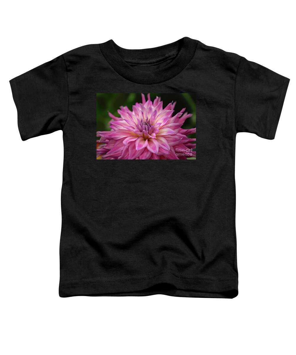 Purple Toddler T-Shirt featuring the photograph Purple Dahlia by Neala McCarten