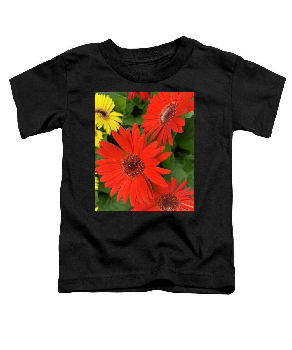 Flowers Toddler T-Shirt featuring the photograph Red Flowers Trio by Catherine Wilson