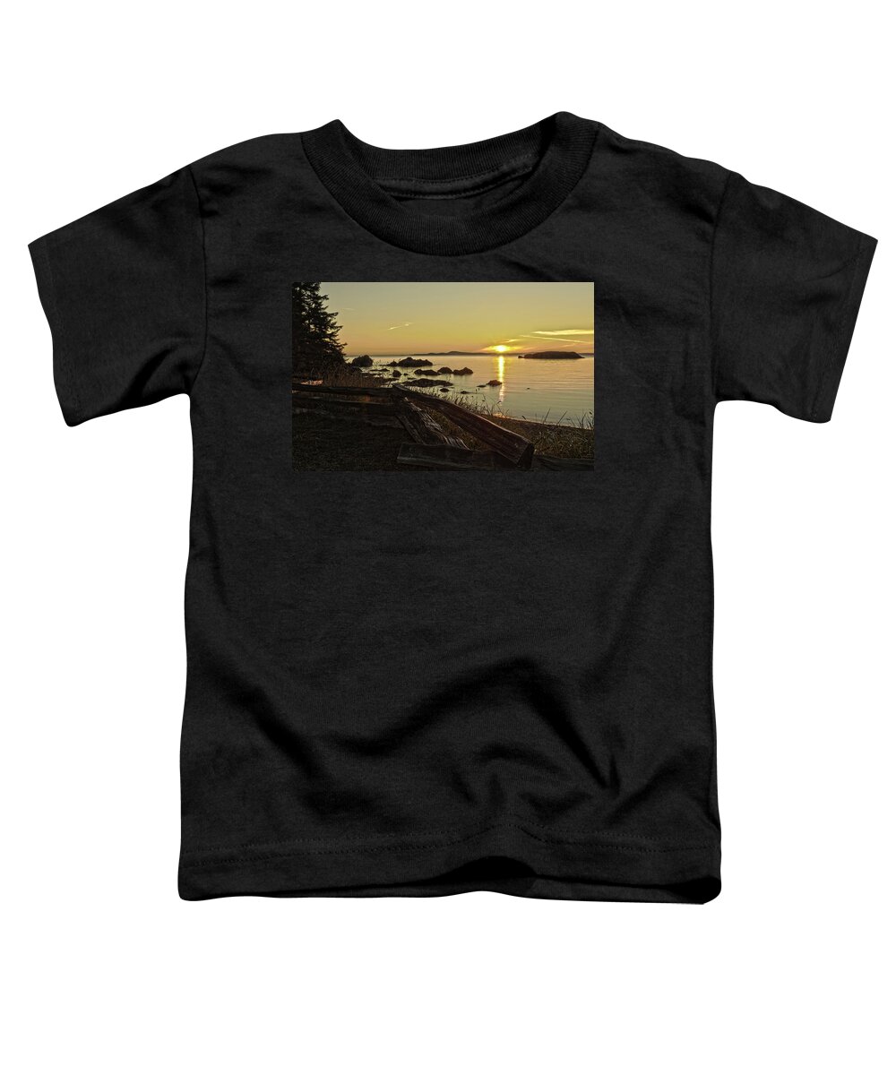 Rosario Toddler T-Shirt featuring the photograph Rosario Park Sunset by Tony Locke