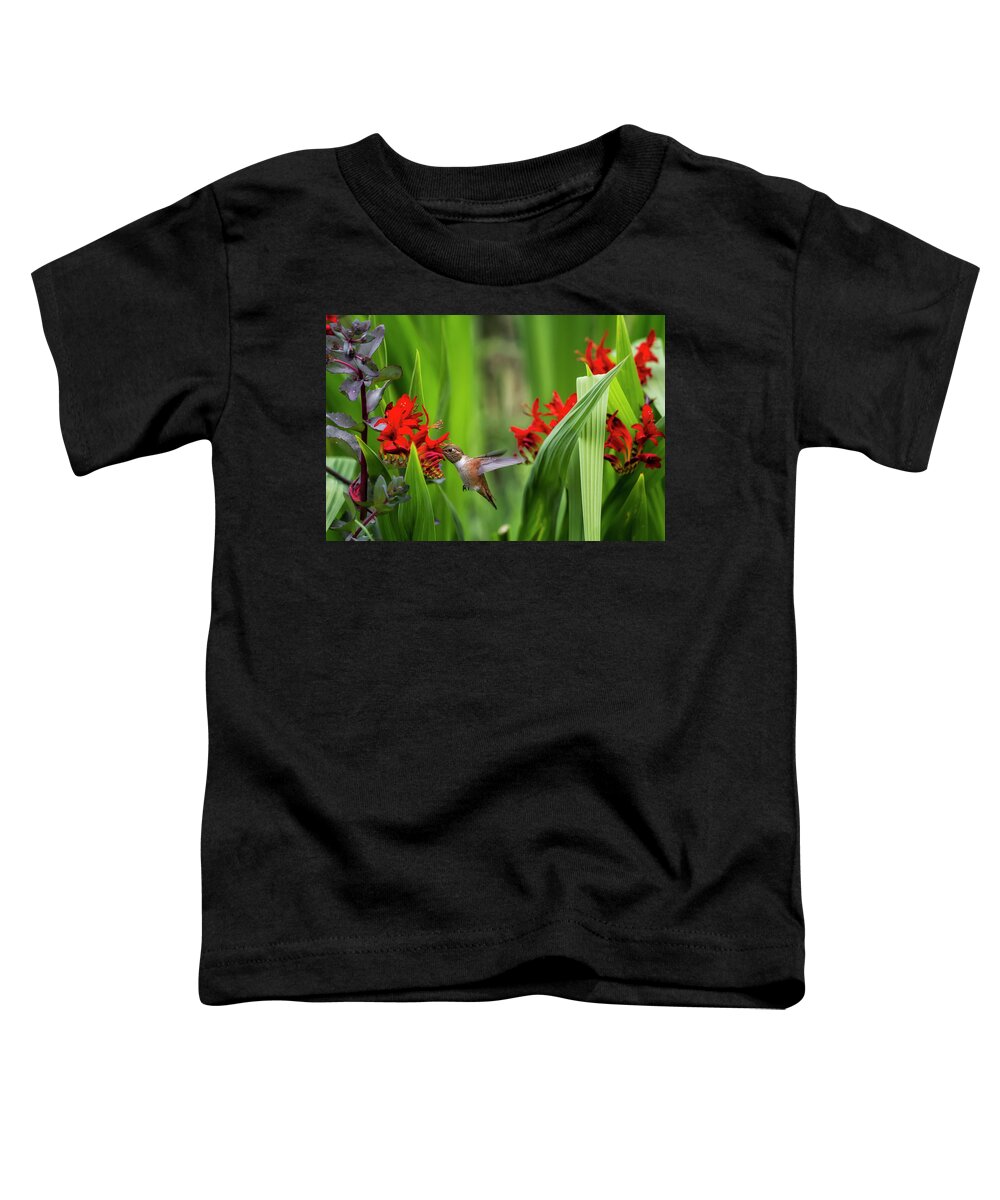 Rufous Hummingbird Toddler T-Shirt featuring the photograph Rufous Hummingbird Feeding, No. 3 by Belinda Greb