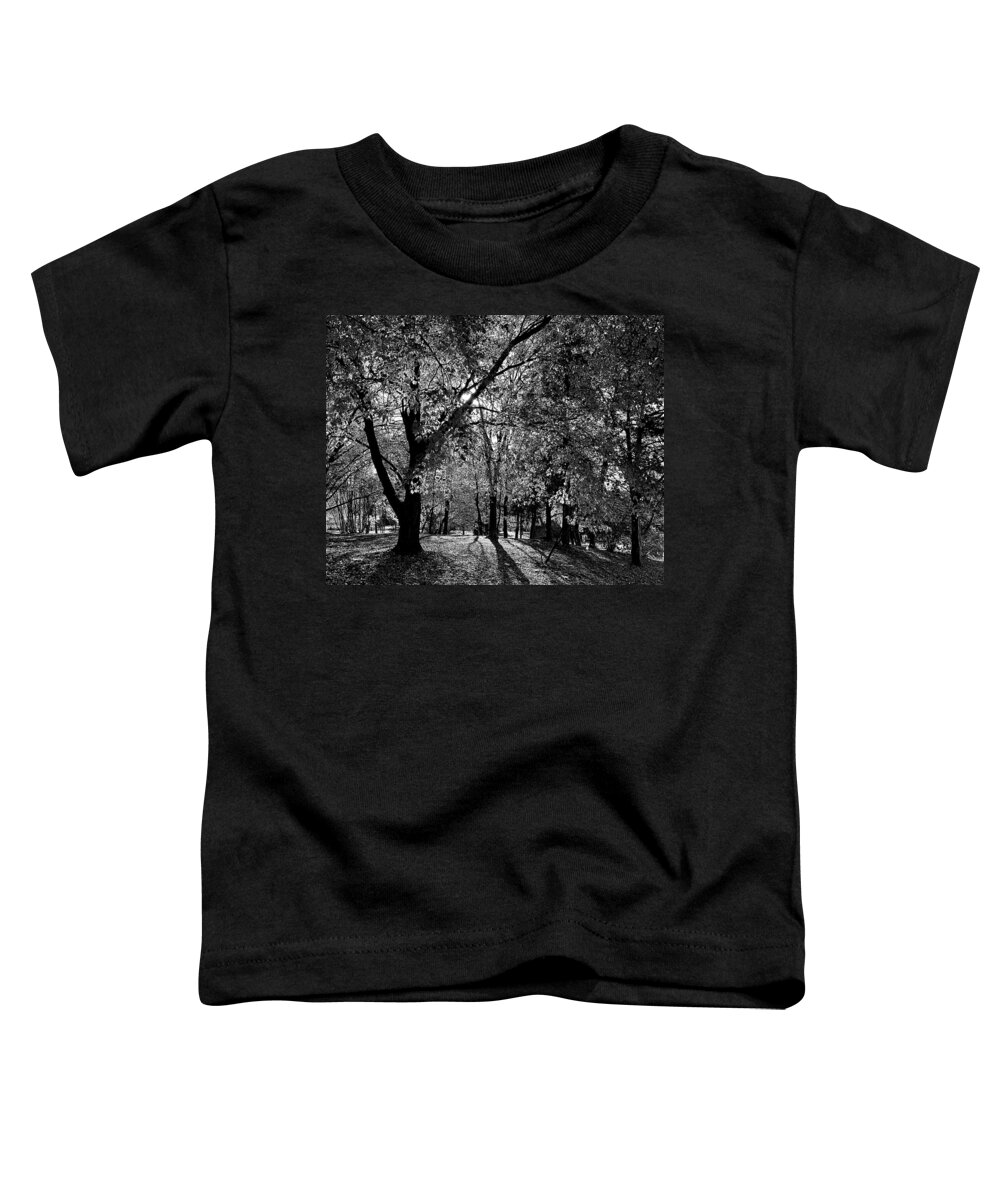 Old Toddler T-Shirt featuring the photograph Salem Gold BW by Lee Darnell