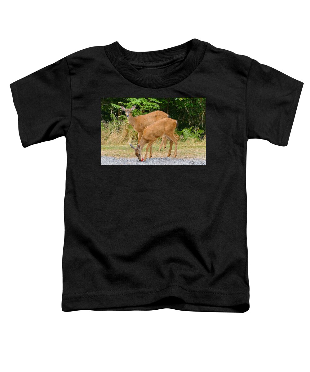 Deer Apple Doe White Tail Fstop101 Forest Woods Toddler T-Shirt featuring the photograph Sharing an Apple by Geno
