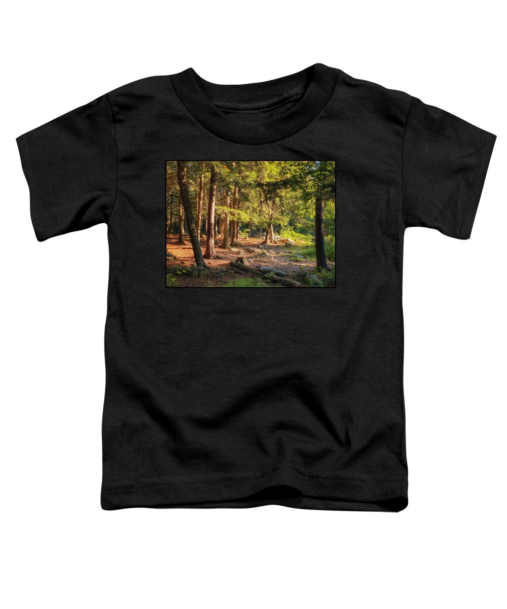 Woods Toddler T-Shirt featuring the photograph Sideshow by Robert Dann