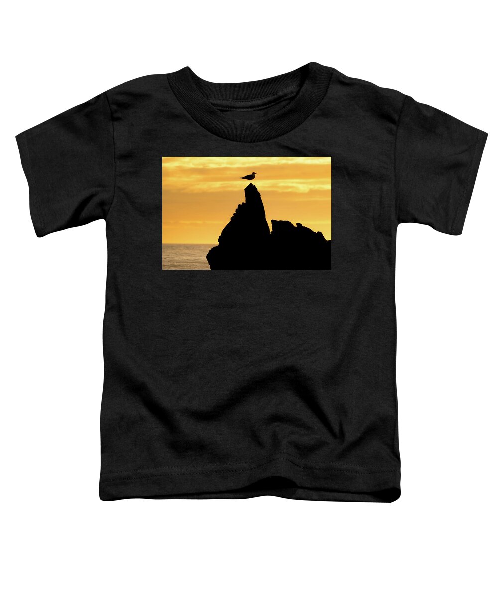 Beach Toddler T-Shirt featuring the photograph Silhouette of Seagull atop a Rock at Sunset by Matthew DeGrushe