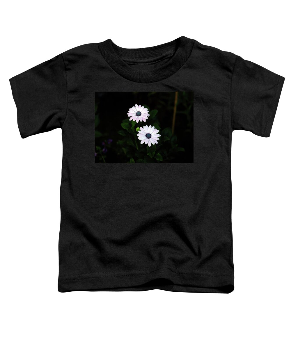 Daisy Toddler T-Shirt featuring the photograph Small Gorgeous Daisy Beauties In The Evening Garden by Johanna Hurmerinta