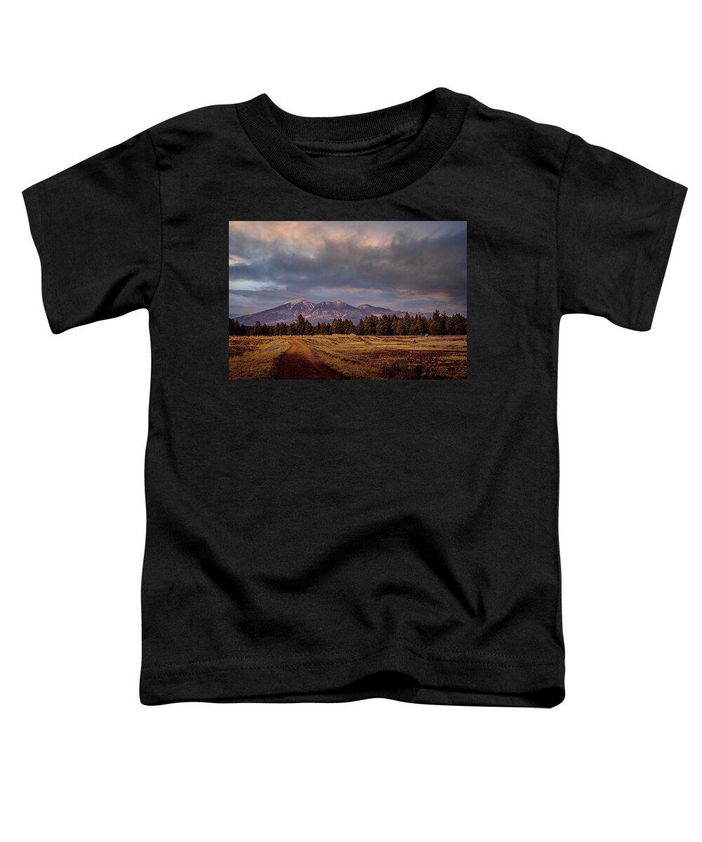 Wetlands Toddler T-Shirt featuring the photograph Stormy Skies by Laura Putman