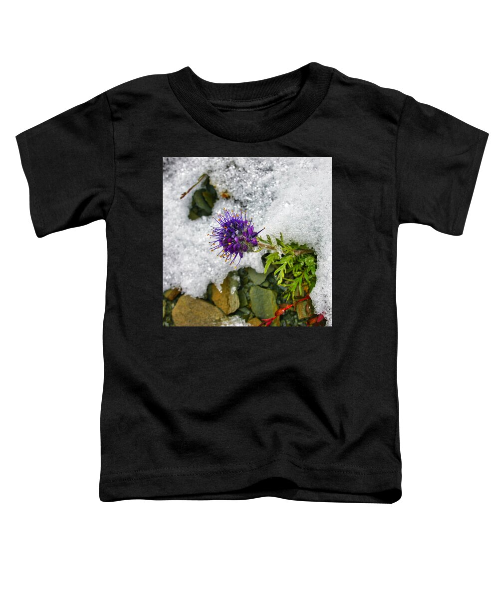 Summer Snow Clover Toddler T-Shirt featuring the photograph Summer Snow Clover by Gene Taylor