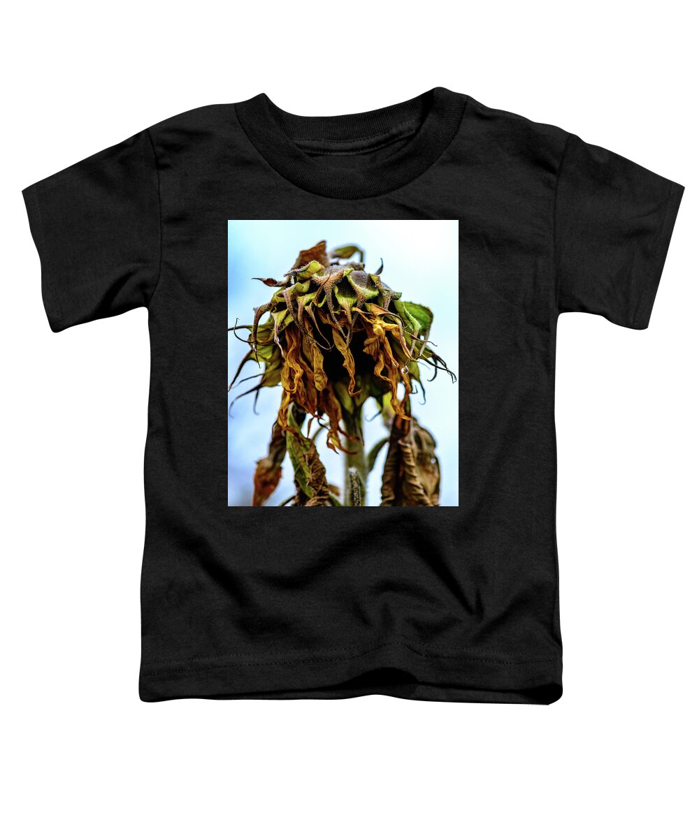 Johnsons Farm Toddler T-Shirt featuring the photograph Sunflowers Last Days by Louis Dallara