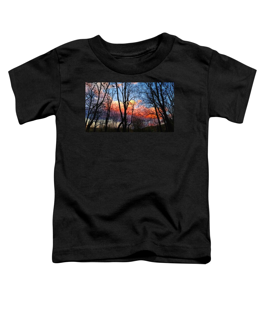Nature Toddler T-Shirt featuring the photograph Sunset Through the Woods by Ally White