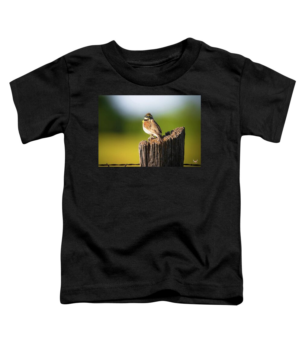 Warmth Toddler T-Shirt featuring the photograph Sunset Warmth by Pam Rendall