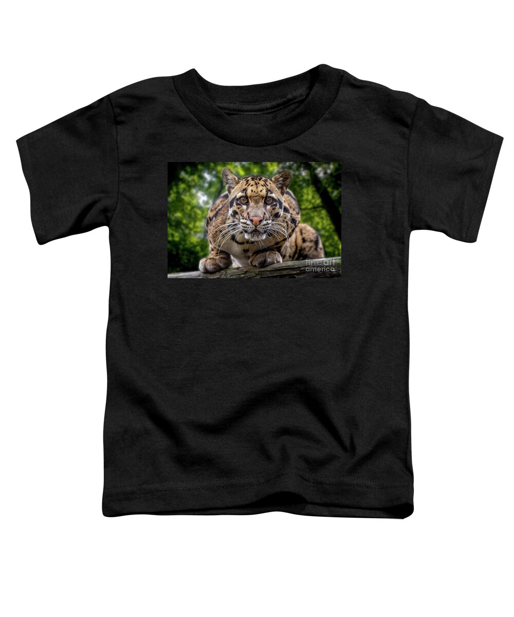 Animals Toddler T-Shirt featuring the photograph Surveillance by John Hartung  ArtThatSmiles com