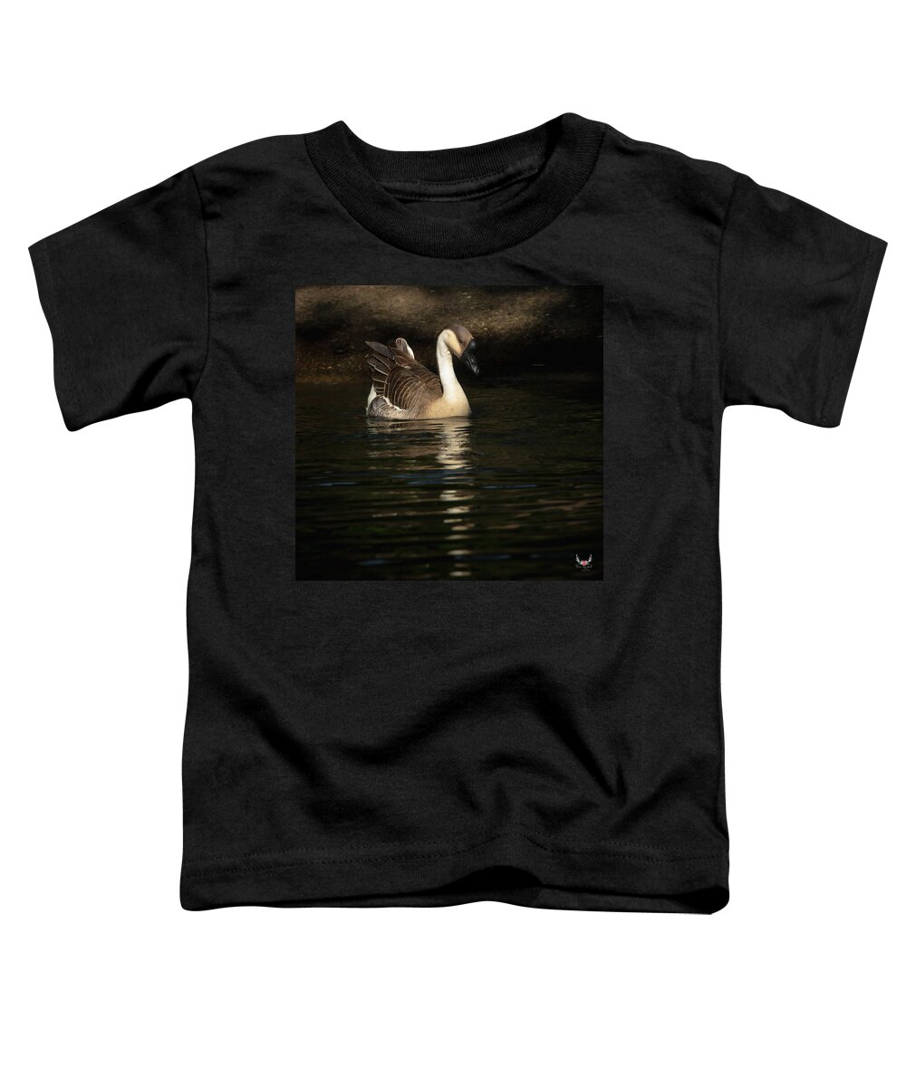 Chineseswangoose Toddler T-Shirt featuring the photograph Swan Goose by Pam Rendall