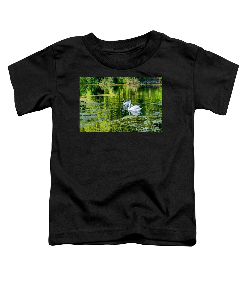 Ambleside Park Toddler T-Shirt featuring the photograph Swans at Ambleside by Michael Wheatley