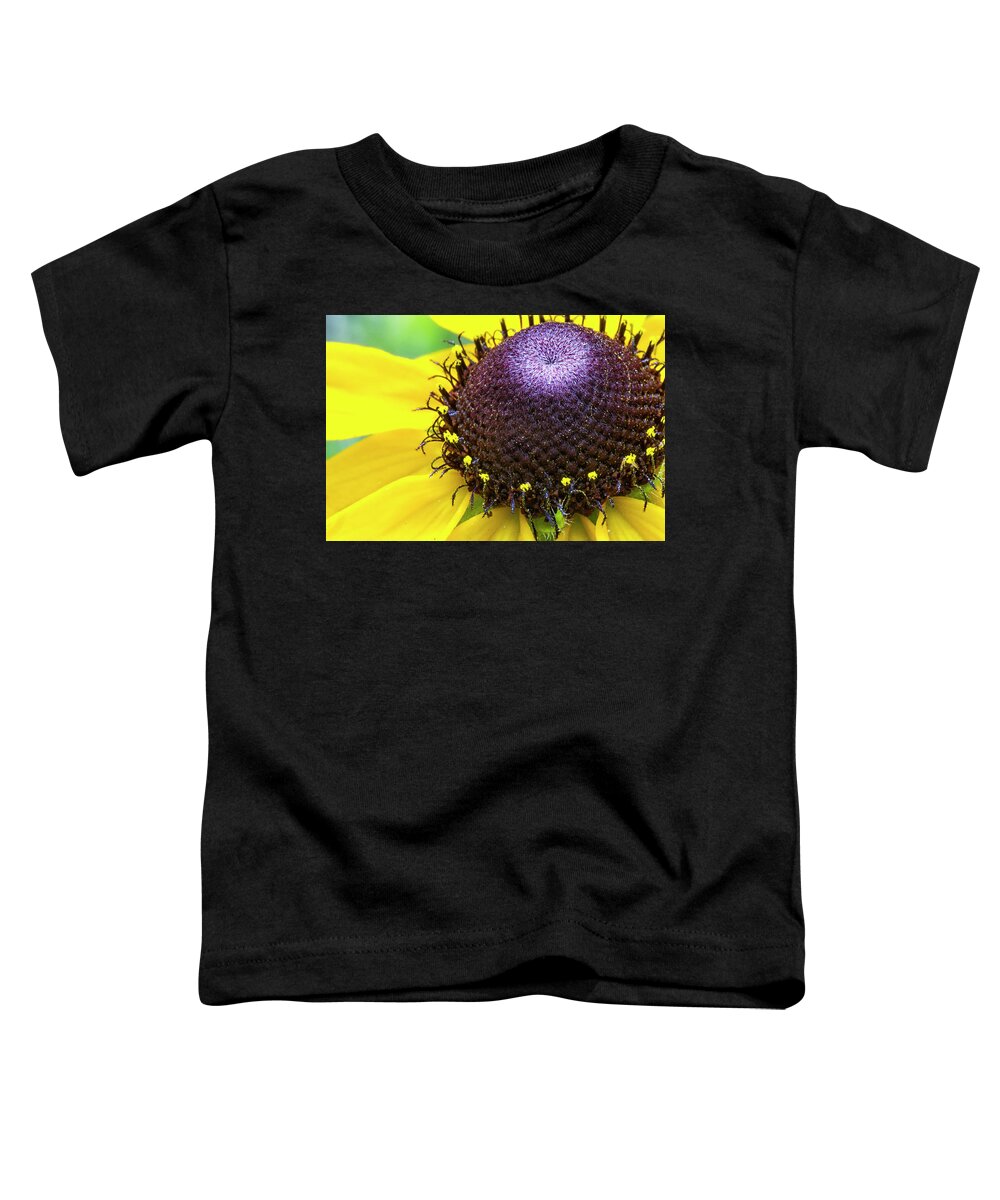 Blackeyed Susan Toddler T-Shirt featuring the photograph The Blackeye of Susan by Bob Decker