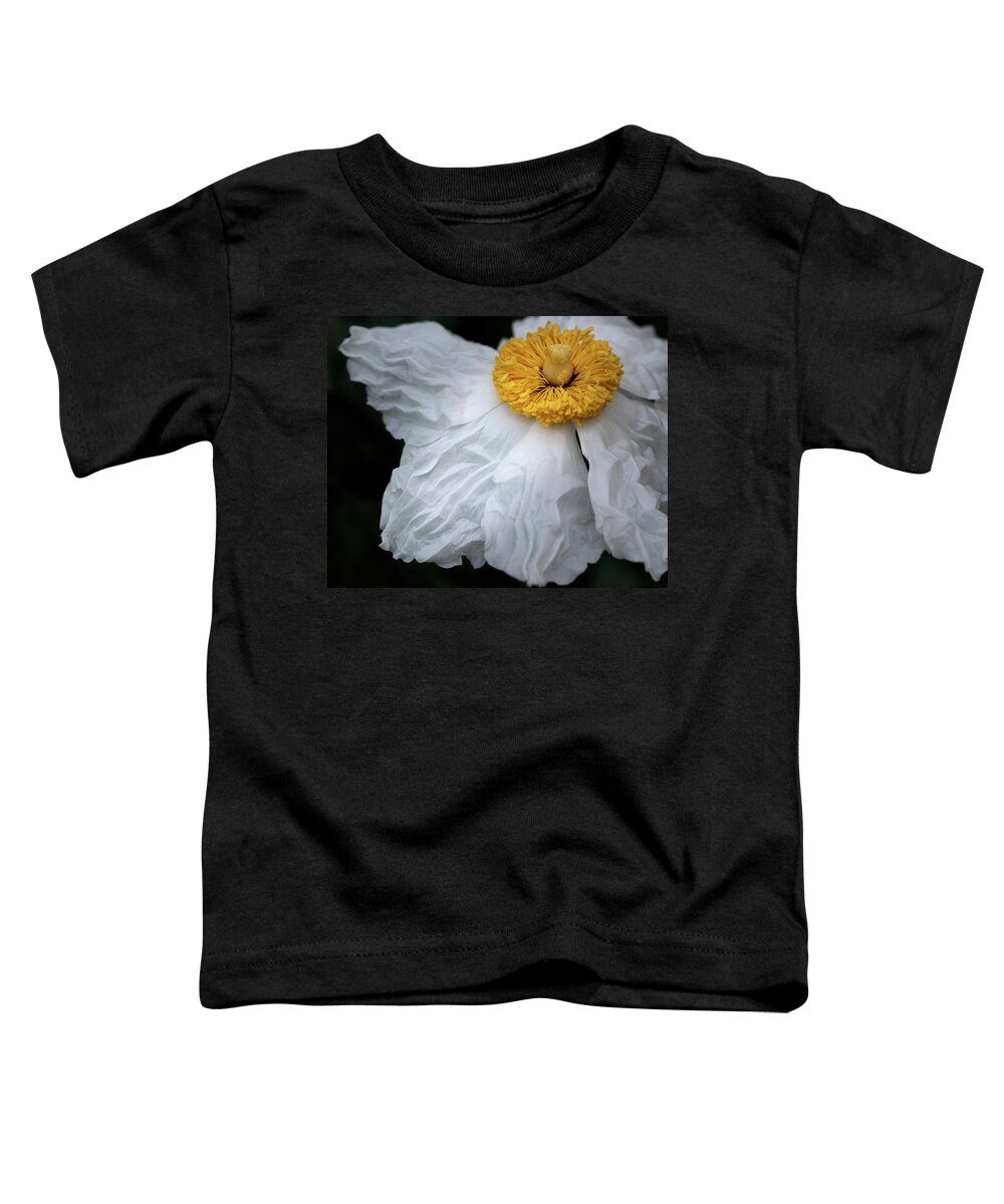 Romneya Toddler T-Shirt featuring the photograph The wrinkles of a Matilija Poppy by Alessandra RC