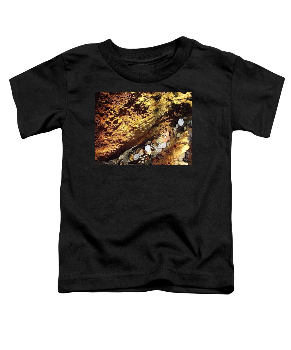 Old Coins Toddler T-Shirt featuring the photograph Treasure Bark 4 by Denise Morgan
