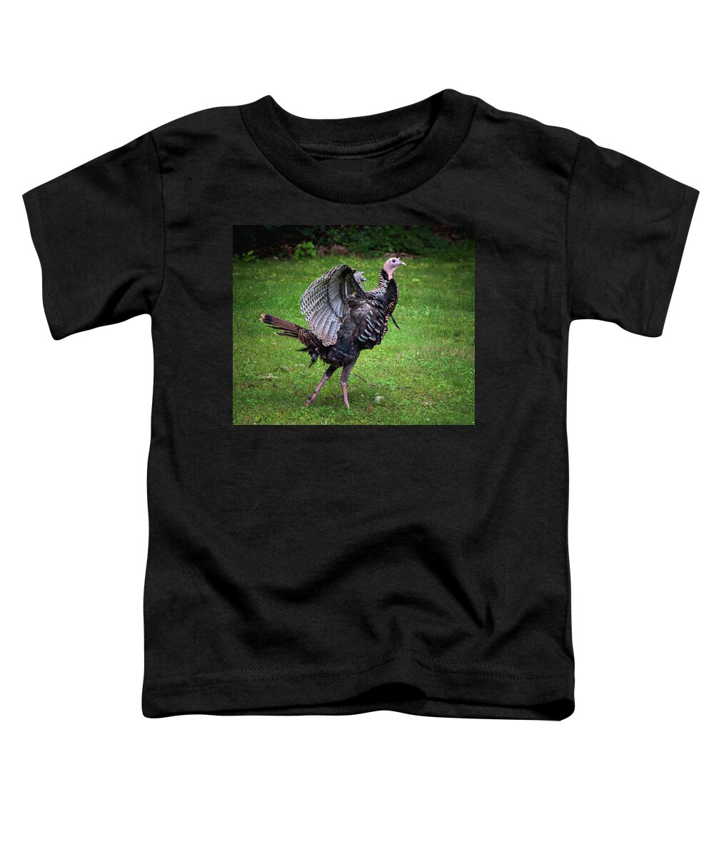 Turkey Toddler T-Shirt featuring the photograph Turkey Strut by Steven Nelson