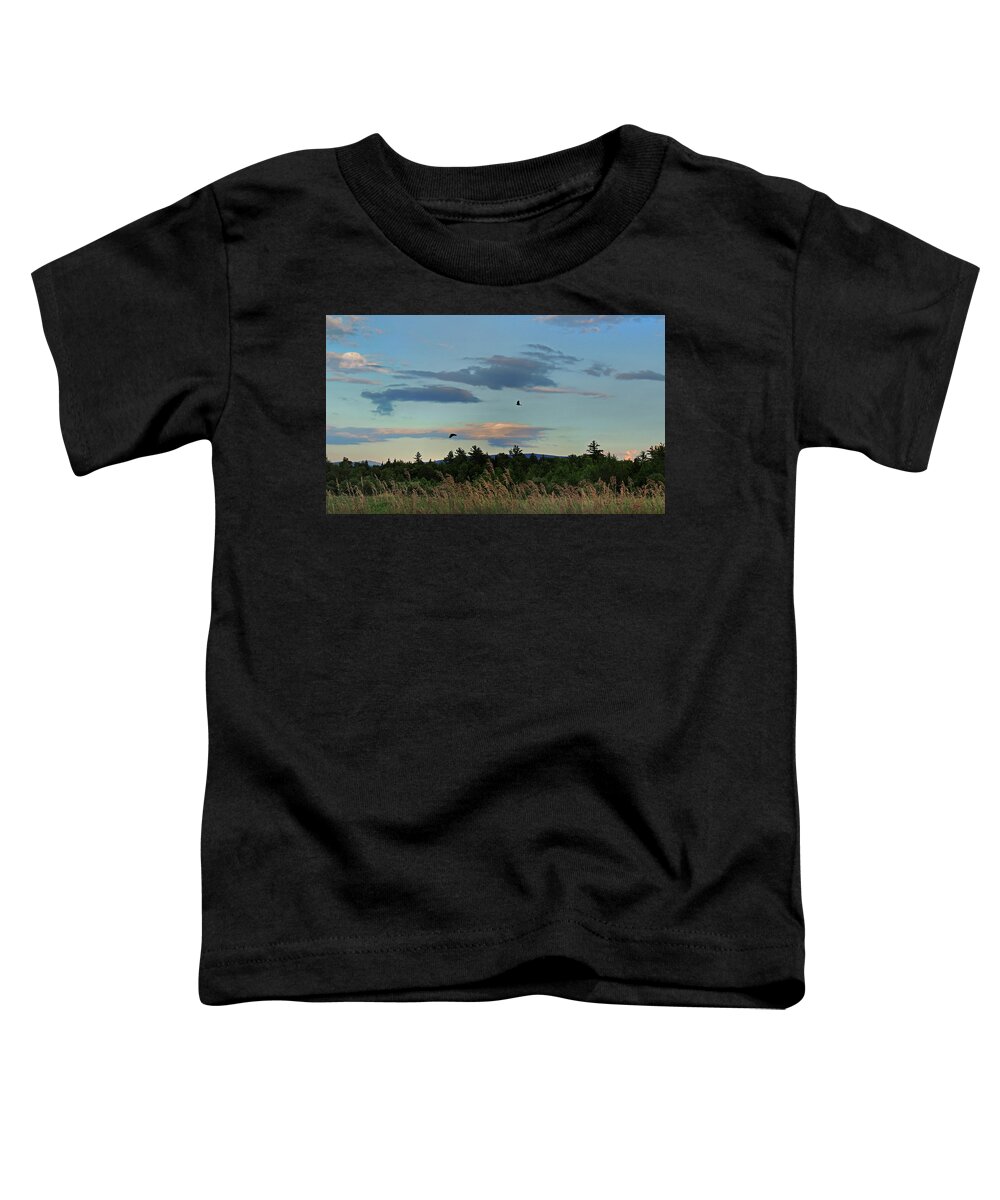 Crows Toddler T-Shirt featuring the photograph Two Crows Take the Sky by Nancy Griswold