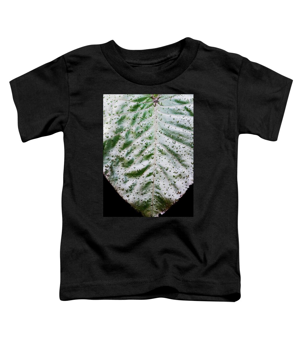 Elephant Ear Toddler T-Shirt featuring the photograph Wet Elephant Ear Plant In Morning Light by Gary Slawsky