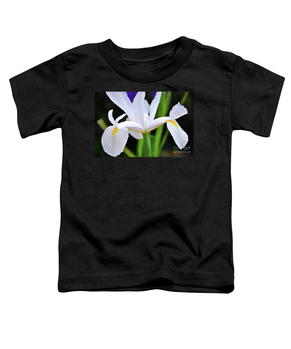 Iris Toddler T-Shirt featuring the photograph White Iridaceae, Dutch Iris, is a spring flowering bulb. by Milleflore Images