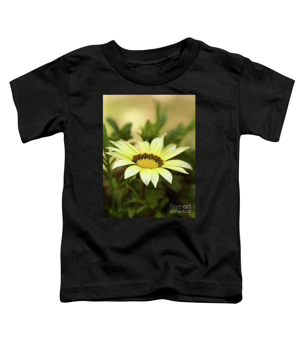 Color Toddler T-Shirt featuring the photograph Yellow Gazania In Springtime 7 by Dorothy Lee