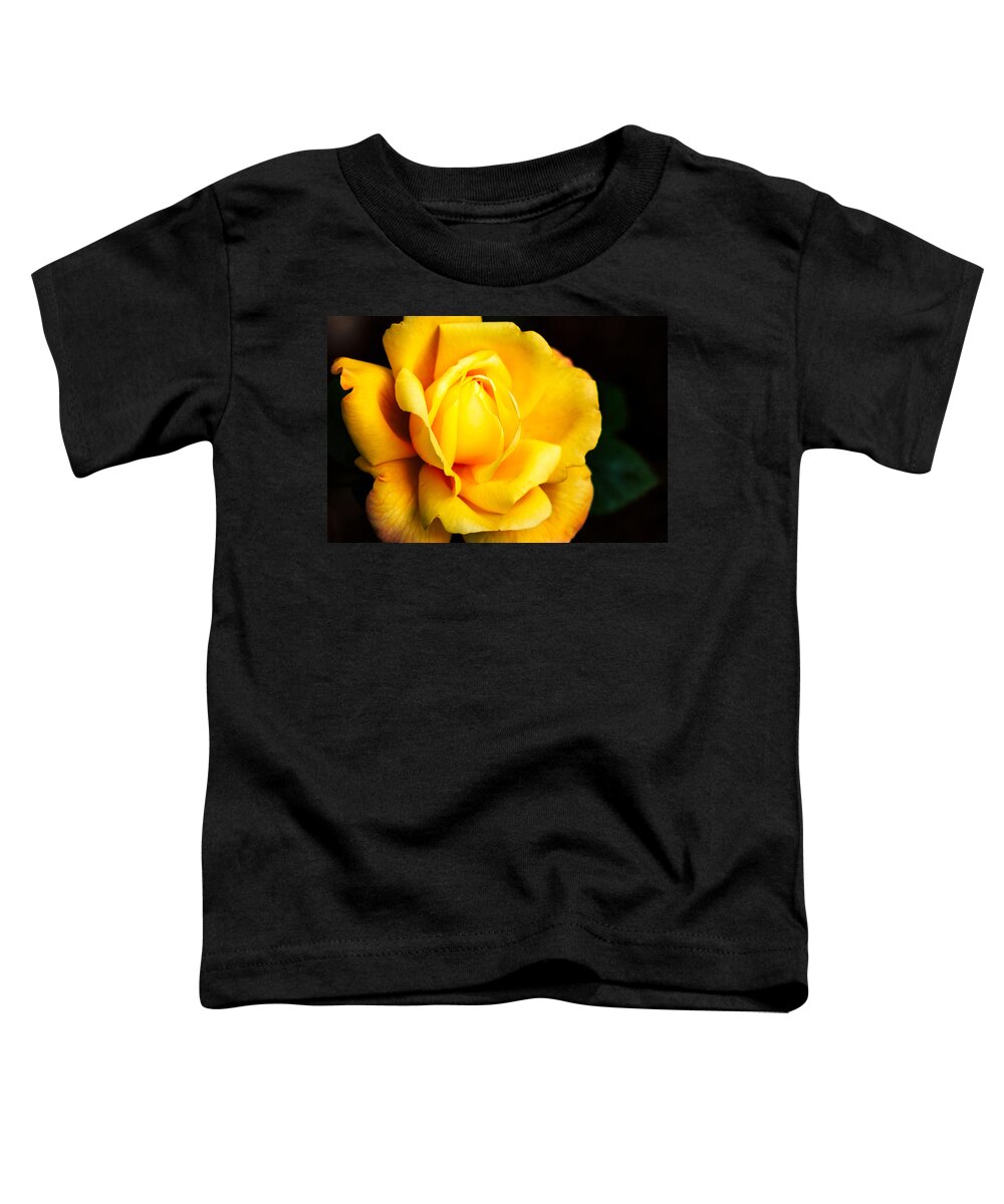 Rose Toddler T-Shirt featuring the photograph Yellow Irish Rose by Carrie Hannigan