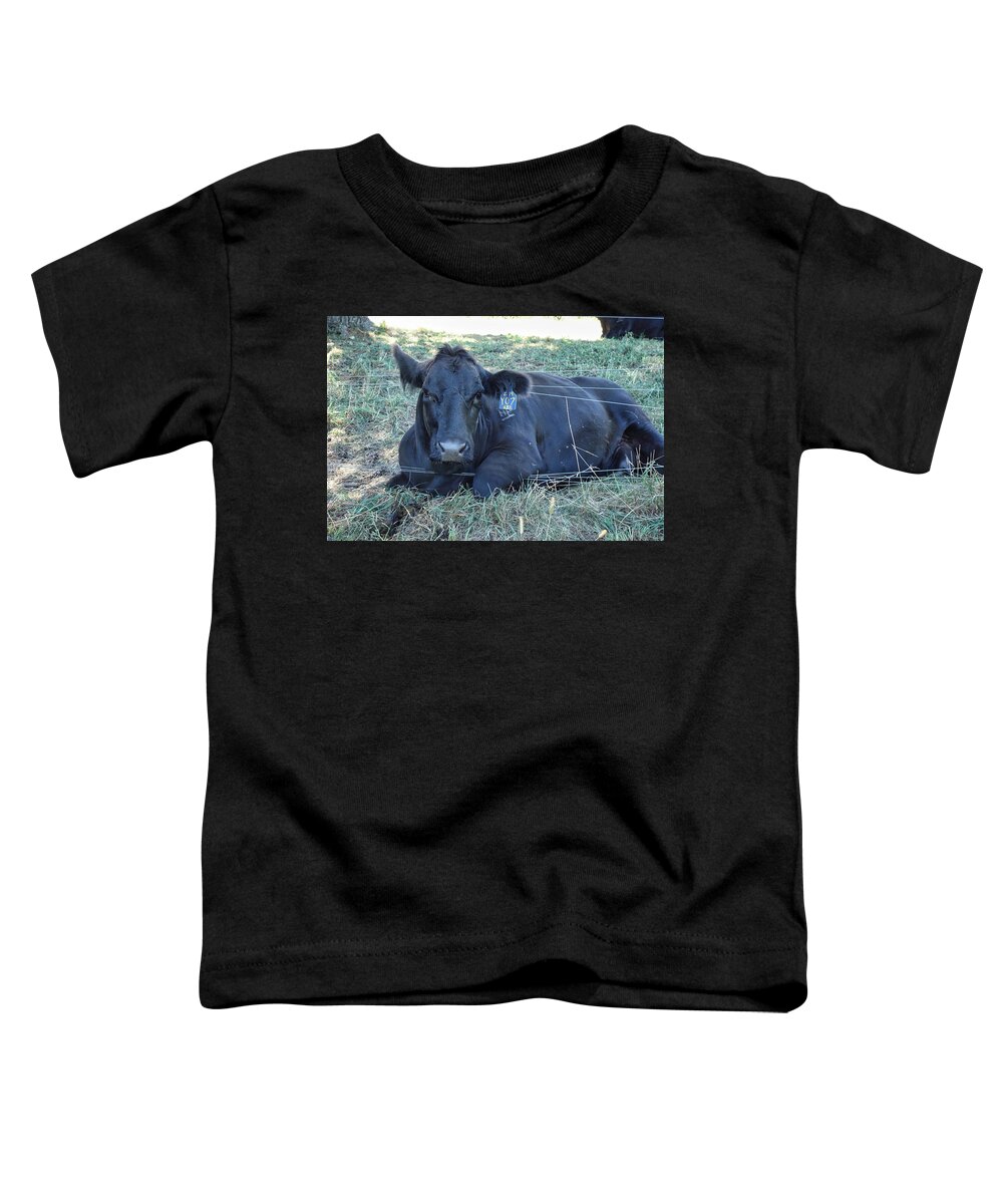 Wildlife Toddler T-Shirt featuring the photograph Yo7 Caught in Fence by Russ Considine