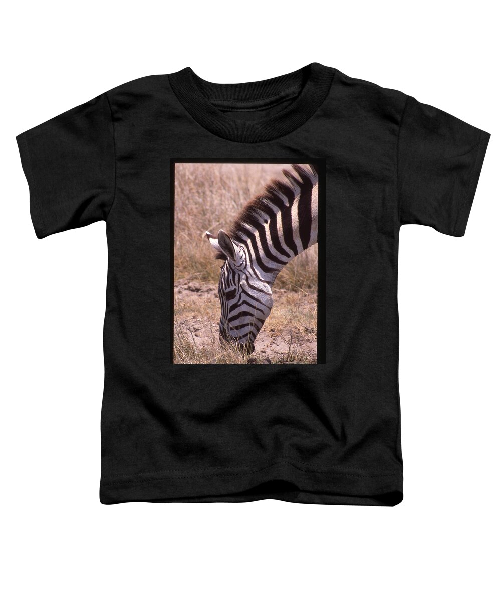 Africa Toddler T-Shirt featuring the photograph Zebra Eating Up Close by Russel Considine