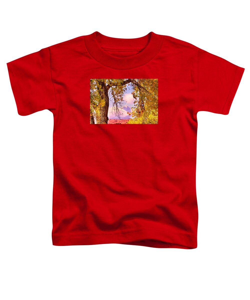 Autumn Toddler T-Shirt featuring the photograph Autumn Cottonwood Twin Peaks View by James BO Insogna