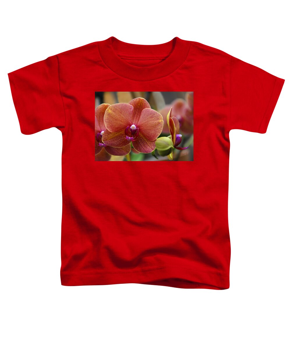 Beautiful Toddler T-Shirt featuring the photograph Beautiful Moth Orchid by Penny Lisowski