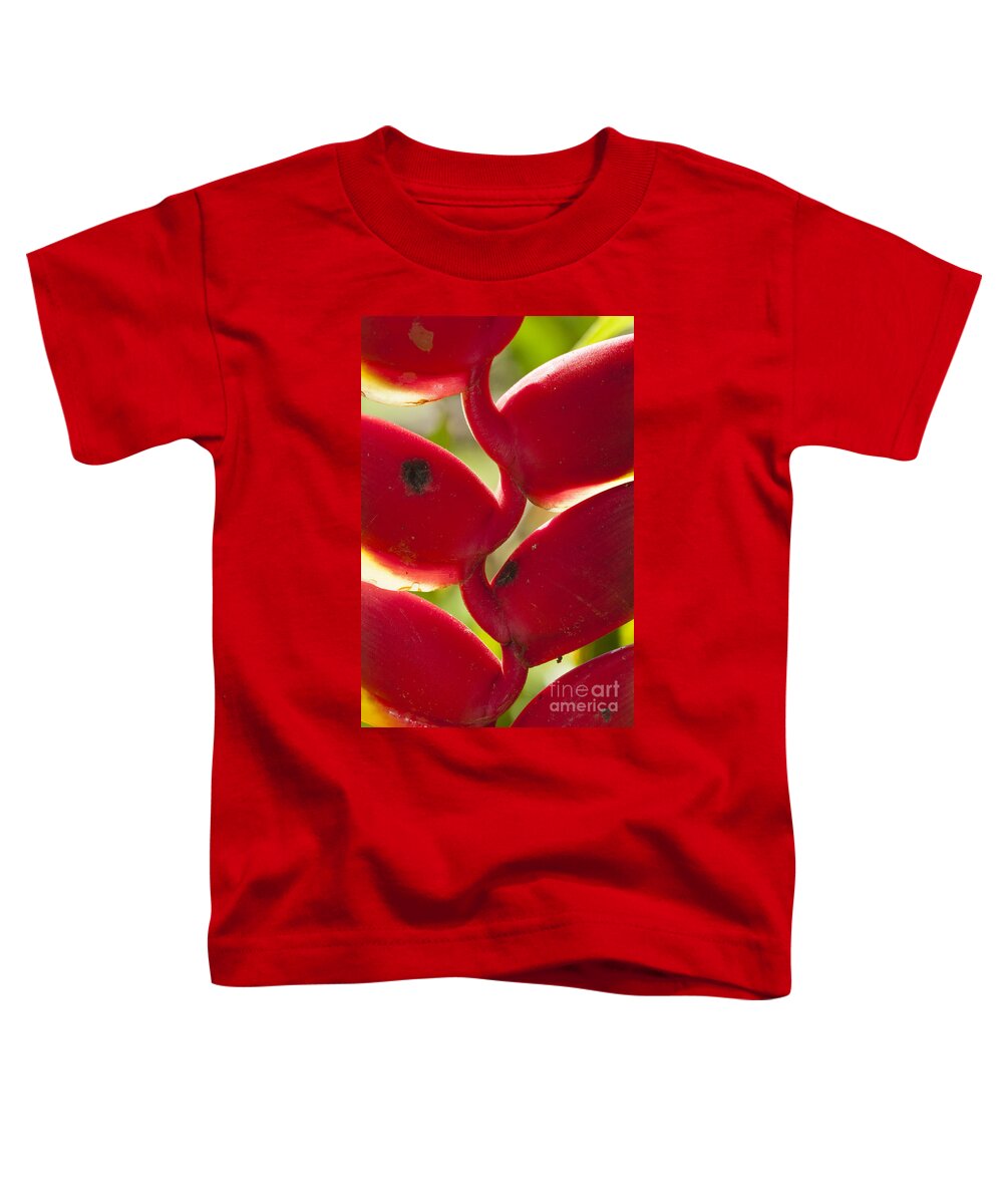 Bird-of-paradise Toddler T-Shirt featuring the photograph Bird-of-paradise by William H. Mullins
