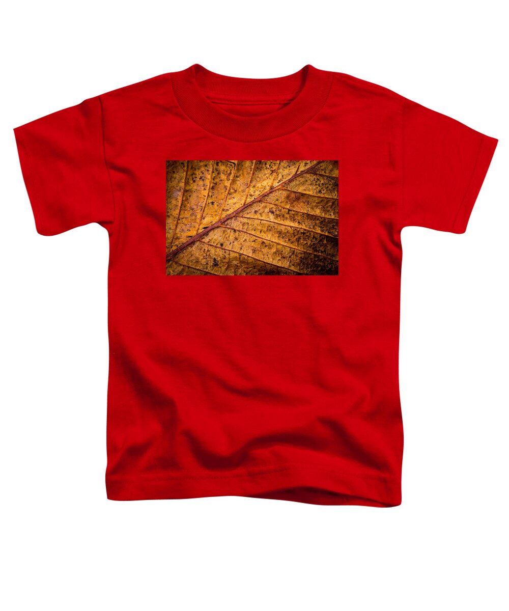 Leaf Toddler T-Shirt featuring the photograph Gold Leaf by Nigel R Bell