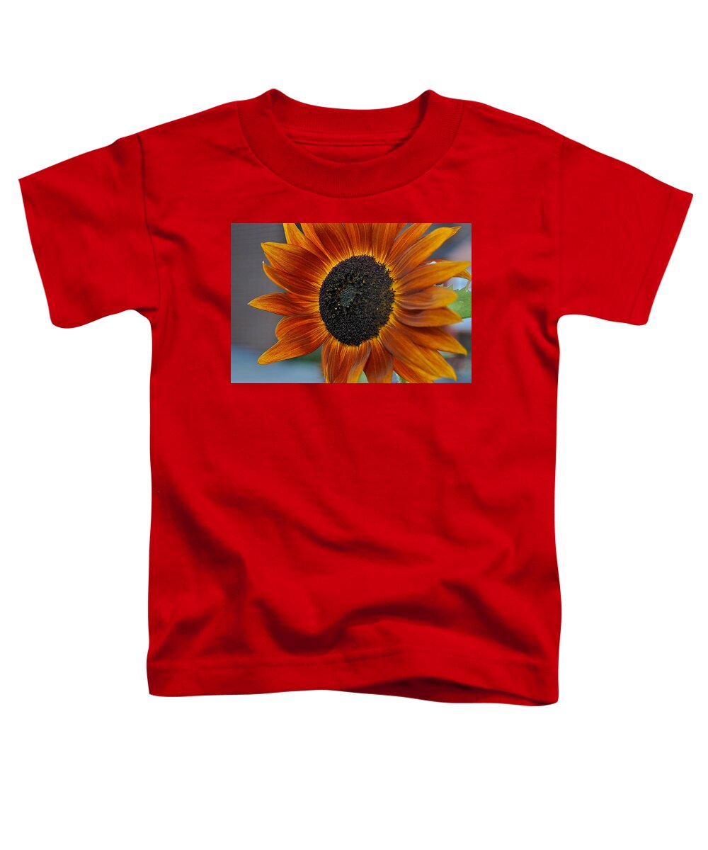 Orange Sunflower Toddler T-Shirt featuring the photograph Isabella Sun by Joseph Yarbrough