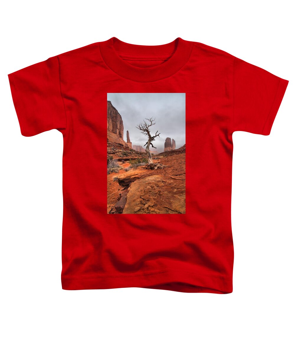 Arches Toddler T-Shirt featuring the photograph King's Tree by David Andersen