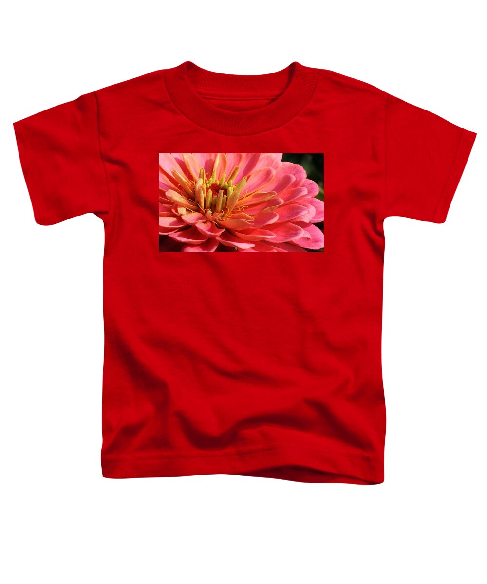 Flora Toddler T-Shirt featuring the photograph Pink Zinnia Touched by Mornings Light by Bruce Bley