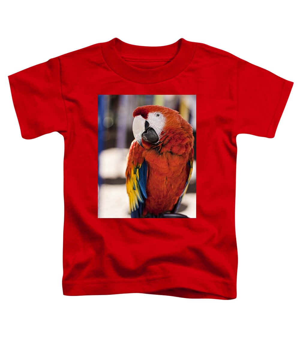 Macaw Toddler T-Shirt featuring the photograph Pretty Bird 2 by Scott Wood