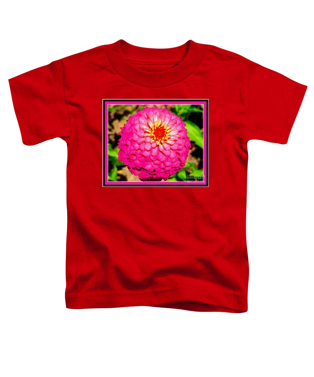 Zinnia Full Bloom Macro Capture Bright And Light Pink Green Backgorund With Hot Pink Border Flower Photos Toddler T-Shirt featuring the photograph Pretty Pink Princess Zinnia Flower Castle by Kimberlee Baxter