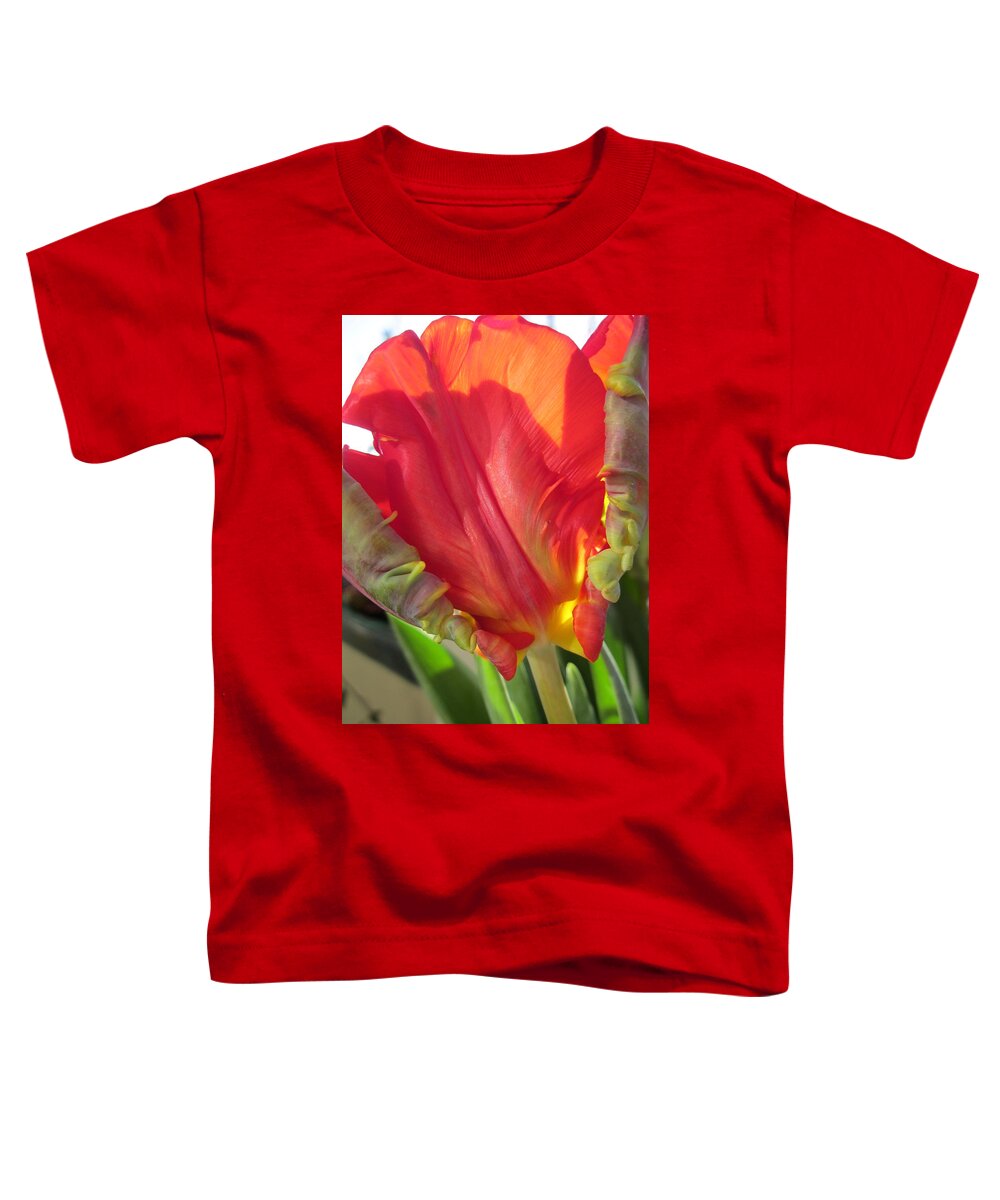 Tulip Toddler T-Shirt featuring the photograph Proud by Rosita Larsson