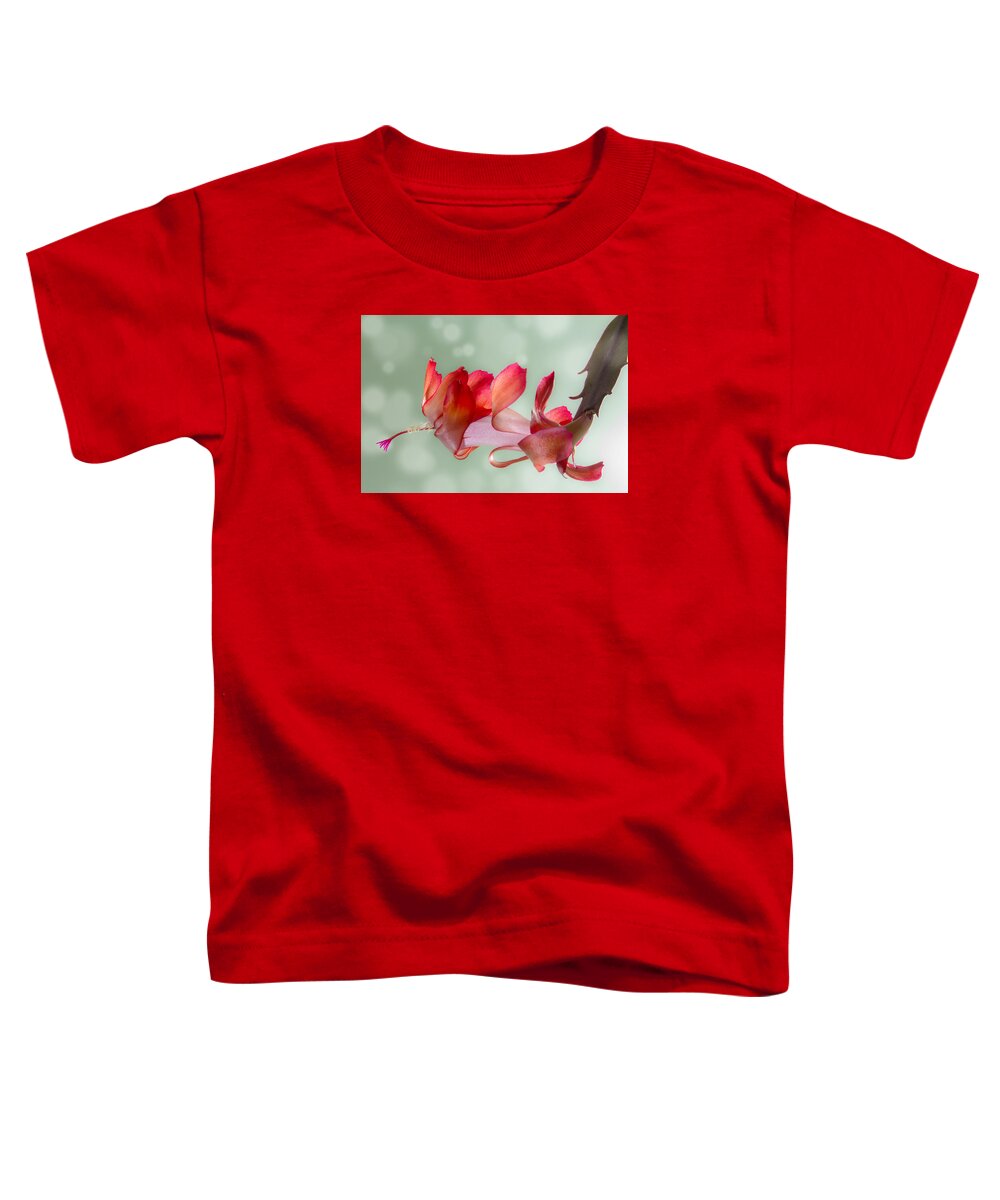 Christmas Toddler T-Shirt featuring the photograph Red Christmas Cactus Bloom by Patti Deters
