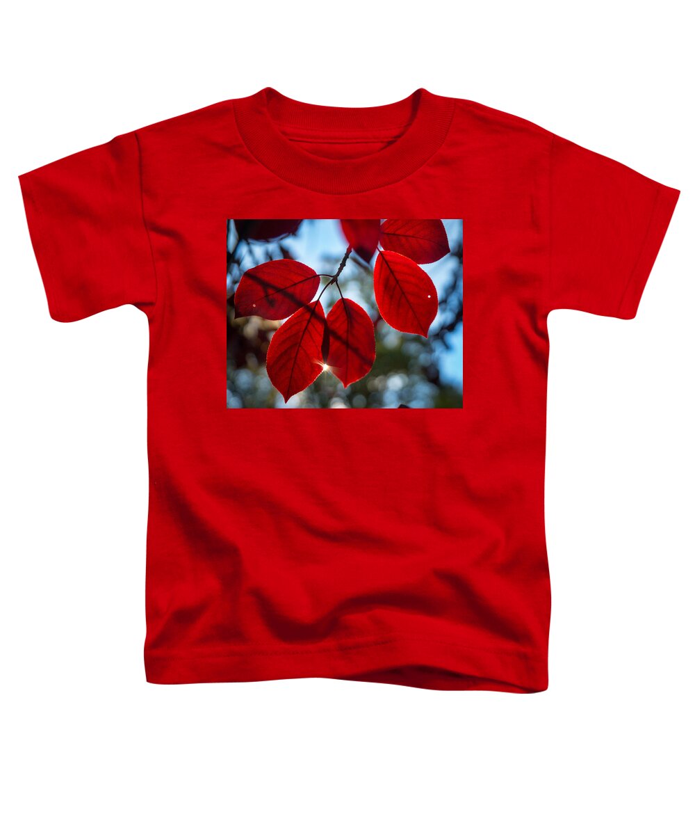 Fall Toddler T-Shirt featuring the photograph Red Velvet by Bill Pevlor