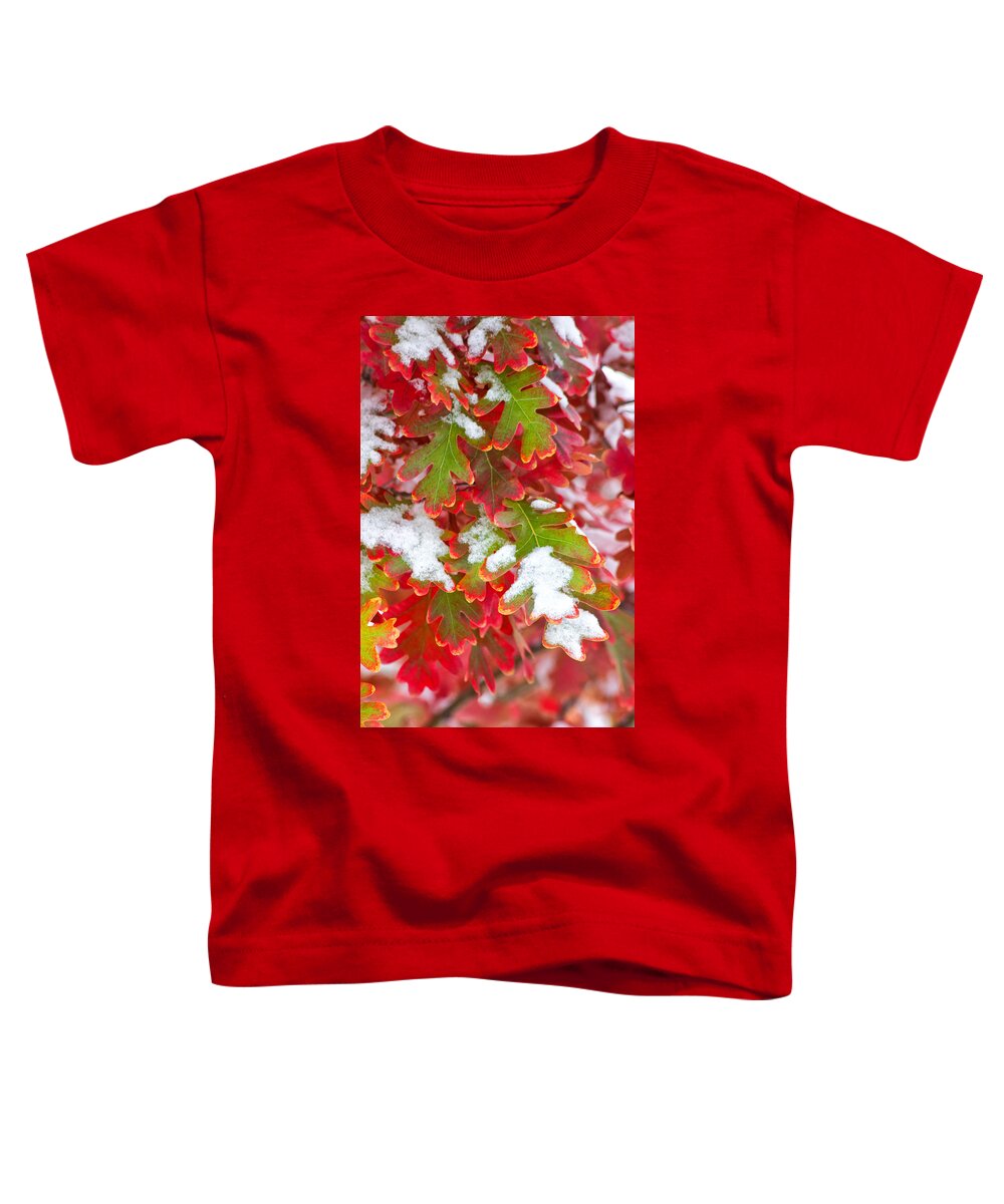 Fall Toddler T-Shirt featuring the photograph Red White and Green by Ronda Kimbrow