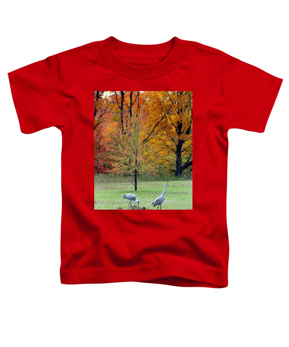 Sandhill Cranes Toddler T-Shirt featuring the photograph Sandhill Cranes by David T Wilkinson