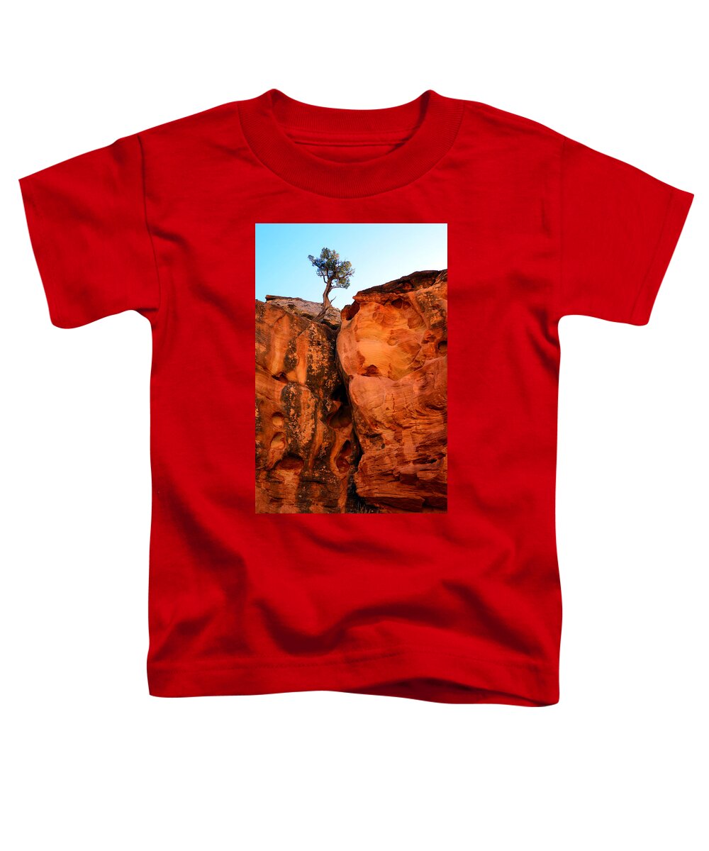 Sentry Toddler T-Shirt featuring the photograph Sentry by Tranquil Light Photography