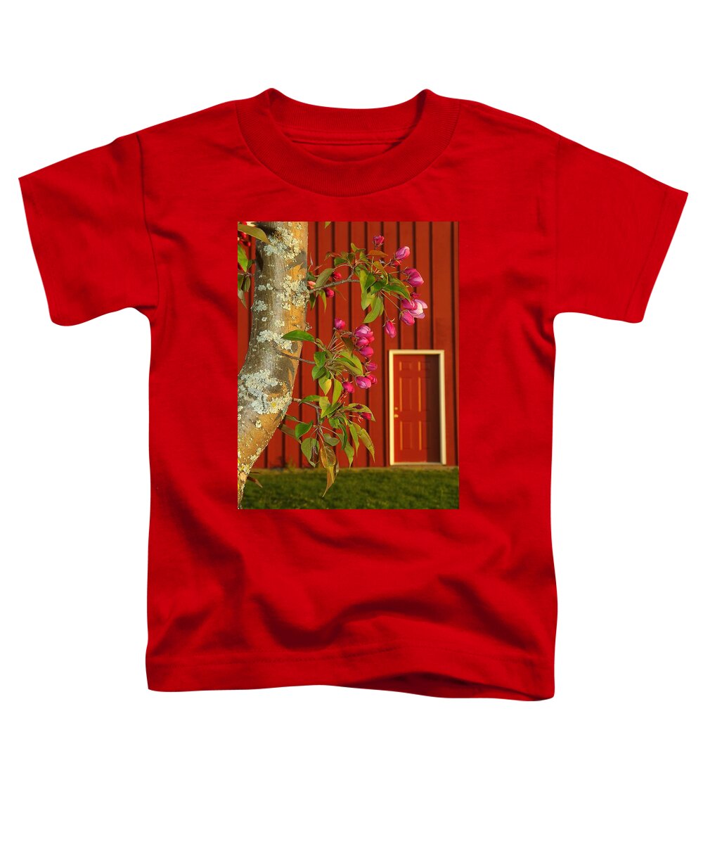 Blossoms Toddler T-Shirt featuring the photograph Spring by Viviana Nadowski