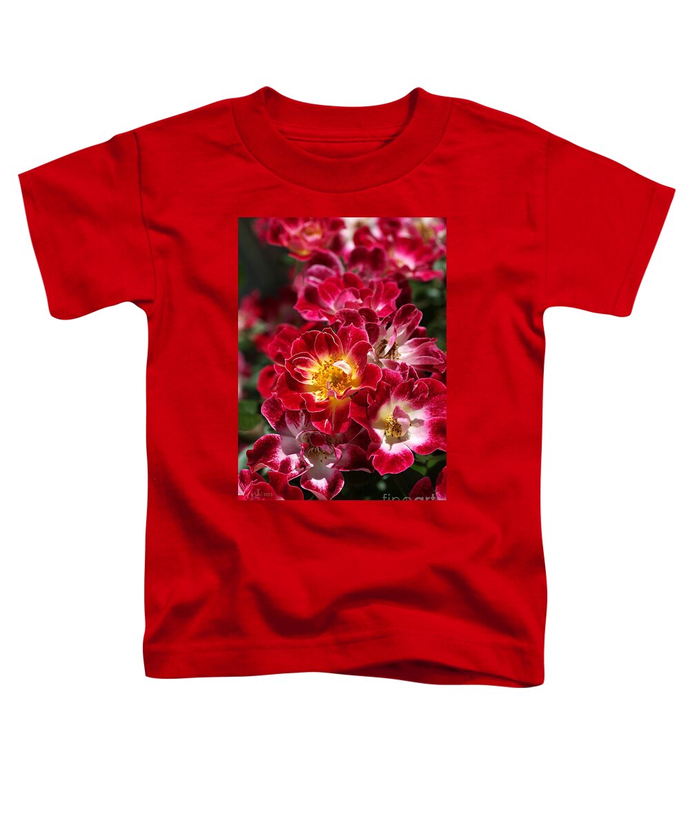 Joy Watson Toddler T-Shirt featuring the photograph The Beauty Of Carpet Roses by Joy Watson