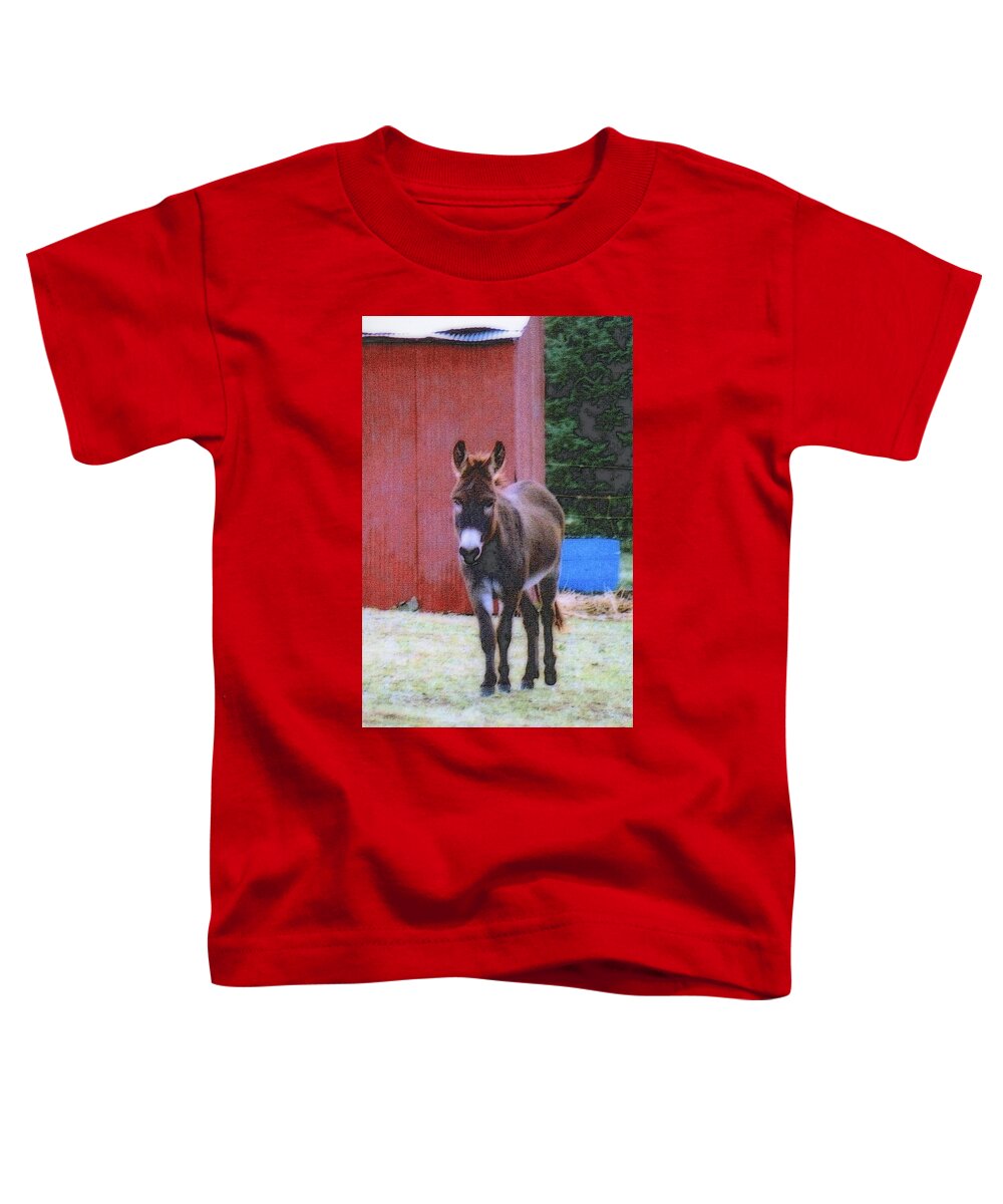 Nature Toddler T-Shirt featuring the photograph The Lonely Donkey by Kay Novy