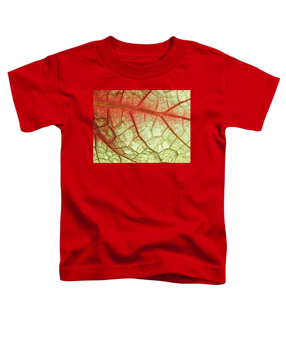 Leaf Veins Toddler T-Shirt featuring the photograph Blood Vein Leaf by Kim Galluzzo