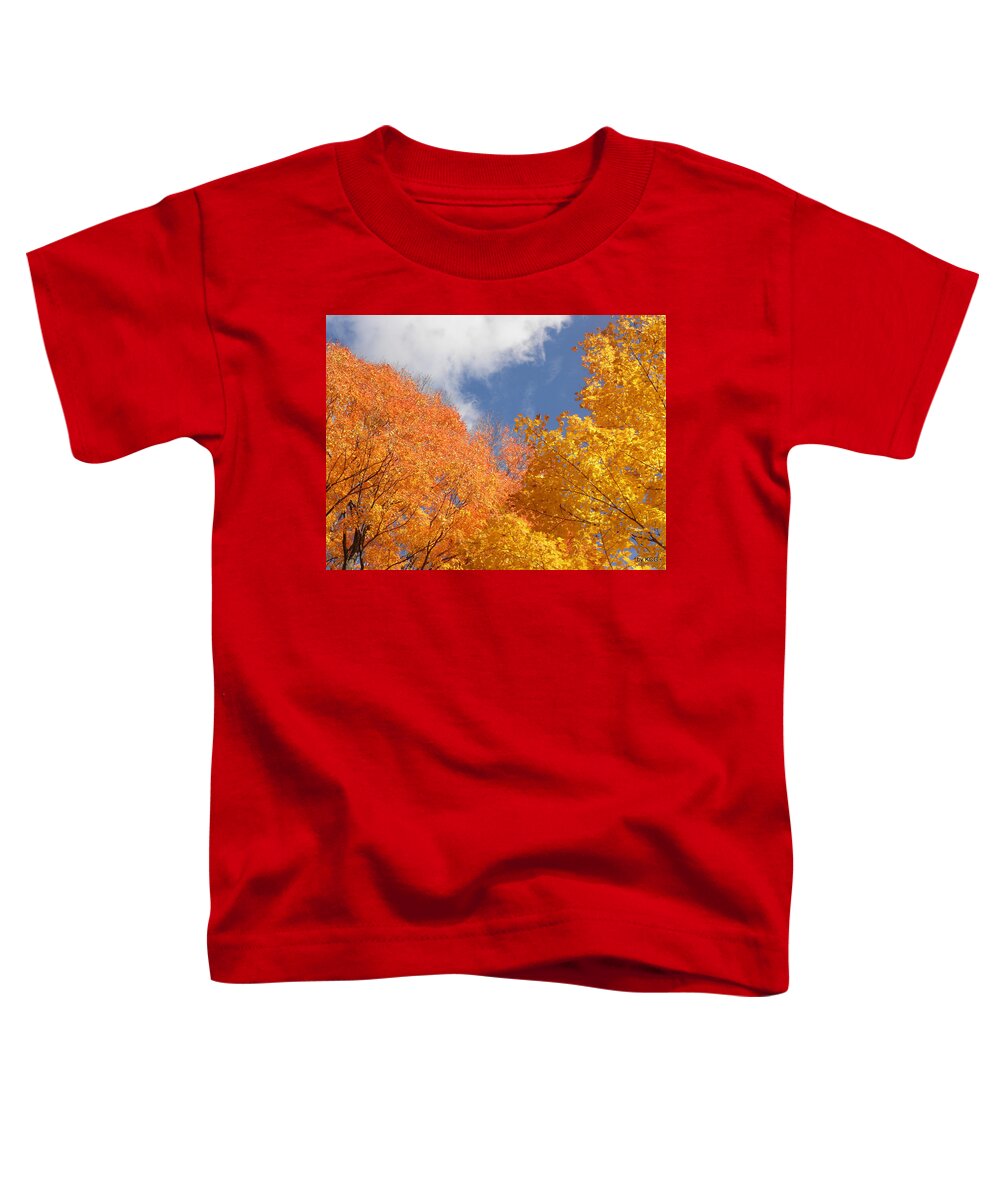 Leaves Toddler T-Shirt featuring the photograph Bursts Of Fall by Kim Galluzzo